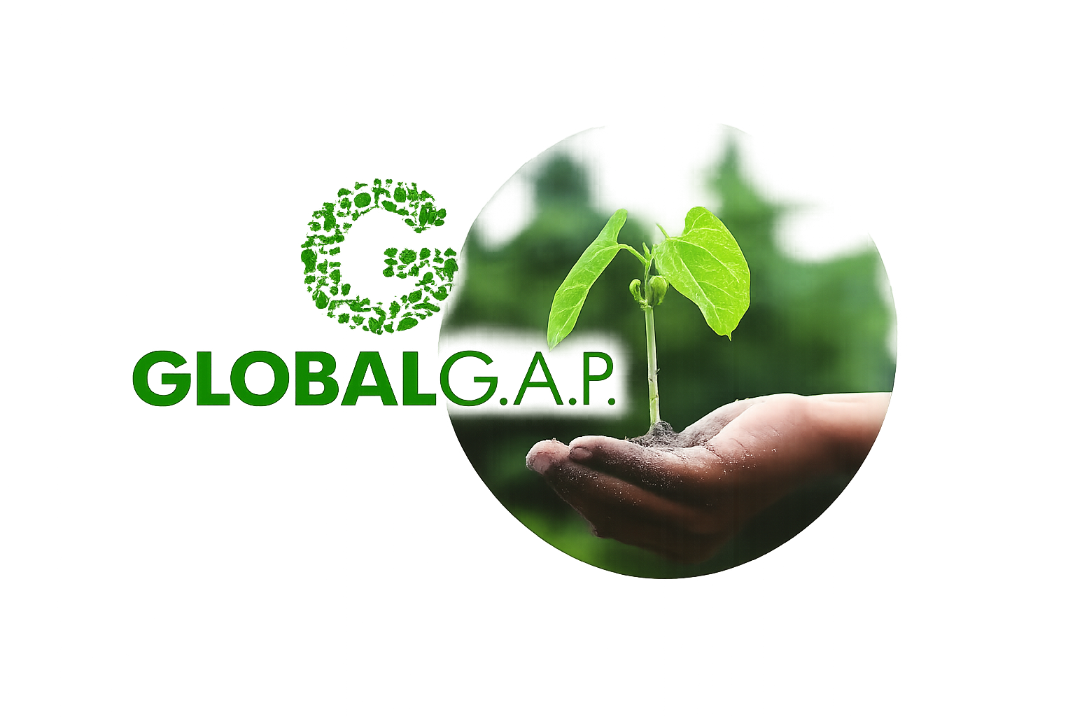 GlobalGAP